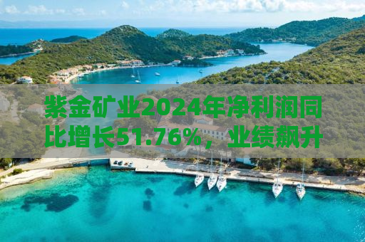 紫金矿业2024年净利润同比增长51.76%，业绩飙升背后的驱动力与前景展望